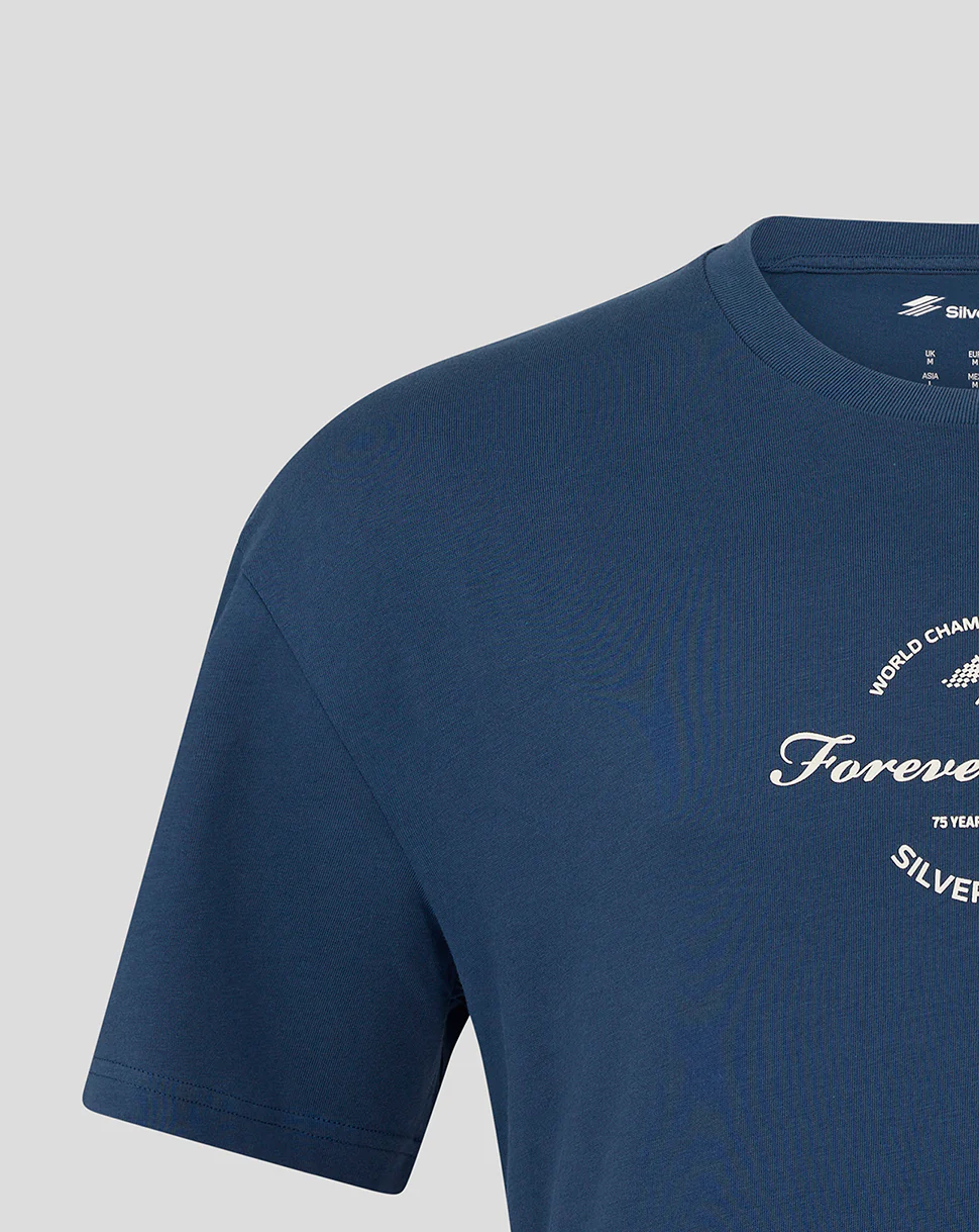 Silverstone Unisex 75 Years Oversized T-Shirt - Sargasso - Image 4