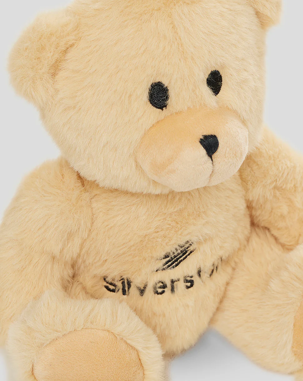 Silverstone Fluffy Maisie Bear - 9/13 Inches - Image 3